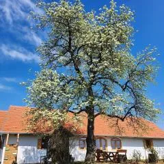 Haus Rita am Örség