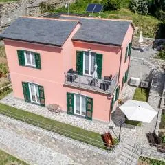 Il Vigneto