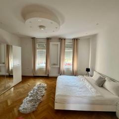 COZY City Apartment in Celje with Balcony and Free Parking