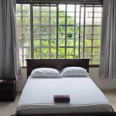 Sendero Primavera 202