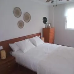 Apartamento Salamandra playa Puzol