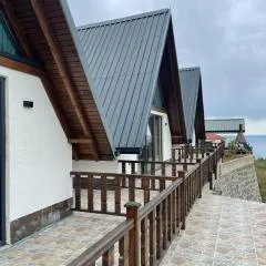 Willa's Trebisonda