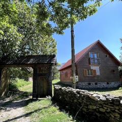 Vila ATX - Cabană Alpina din Lemn în Inima Naturii Relaxare în Natură Liniște, Râu, Foișor și Spațiu pentru Joacă