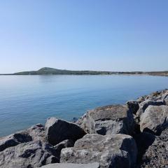 Baywatch, Shannon River View