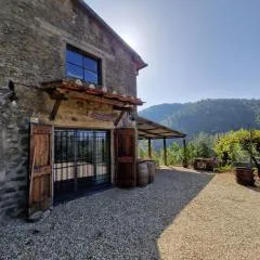 Il Frantoio, Loft rurale, con bbq e giardino in Pontifogno