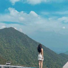 Mimosa nhà thông 2 view săn mây