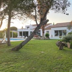 OstalBlanc Belle villa contemporaine avec piscine