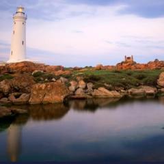 Seal Point apartment