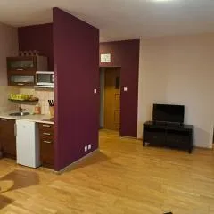 Apartament przy Promenadzie