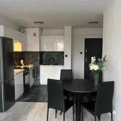 Comfortable one bedroom apartment