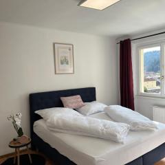 Bergblick Balkon Bruck an der Mur