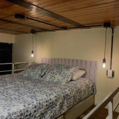 El jardin, Aparta-Estudio