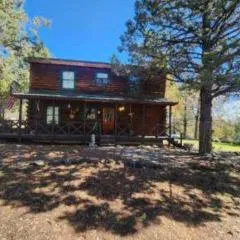 Cabin Retreat