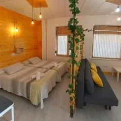 Estudio Mota