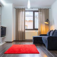 Cozy & Spacious Apartment near Victoriei Square