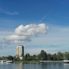 Entre 2 Rives Strasbourg-Kehl