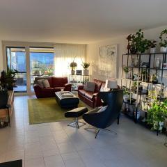 Modern and stylish Home in Muttenz