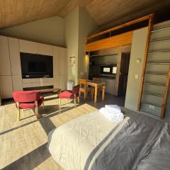 Hermoso monoambiente ubicado en el centro de SMA Ñire14