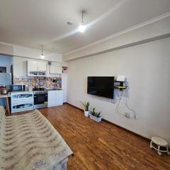 Cozy apartment near city center