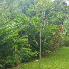 3 room apartment 50 m2 Appartement 3 pièces 50 m2