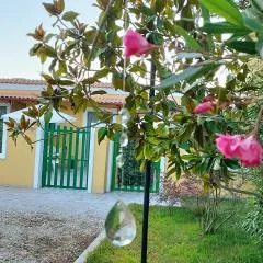 Case Barone di Muro