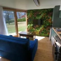 Jungle room au centre des Carroz