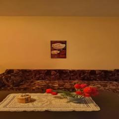 Cozy little flat in Karlovo