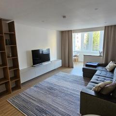 Perfect apartment Chisinau Кишинёв