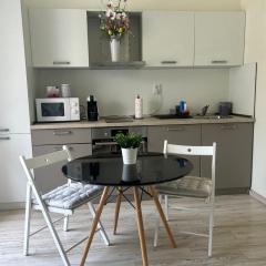 ApartHotel Asparuh Studio3