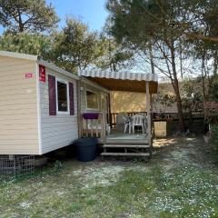 Mobilhome Trigano Samba 3 Bedrooms BA233 - La Palmyre Bonne Anse Plage