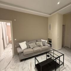Luxy renovated flat with patio