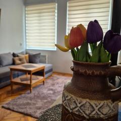Tulip Apartment