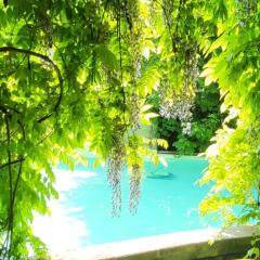 The Secret Garden