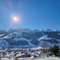 Ferienwohnung Toggilodge