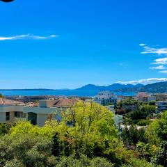 JUAN LES PINS 4 people Pool Garage