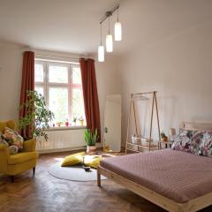 Quiet and spacious flat near city centre