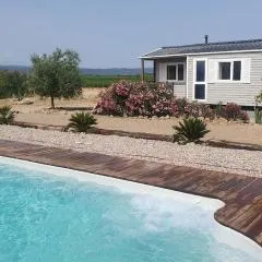 Séjour au cœur du Minervois