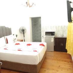 Neo & Ruks Guest Houses Boston Belleville 3