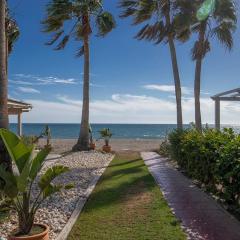 Beach Paradise, Nº5