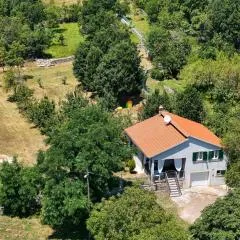House AnteAna