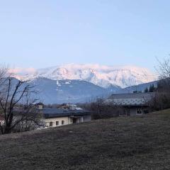 Charmant apartment vue MontBlanc