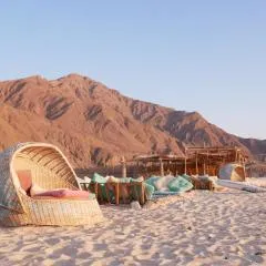 El Dar Camp