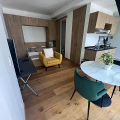 Comfortable apartment in Reforma, downtown CDMX