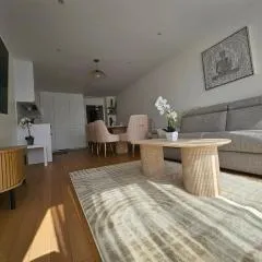 BrandNEW Duplex Penthouse 7pers à proximité Disneyland Paris