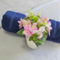 Eagle's Nest Suite with Netflix