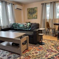 Apt Near Oberlin College