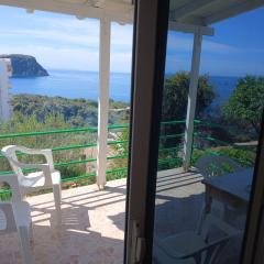 Thoma goro stefanelI