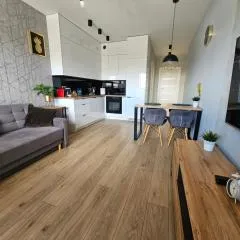 Apartament Ventus Business and Living 46