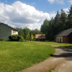 A&S Vidugiris