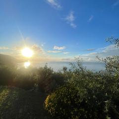 Ariadimare guest house